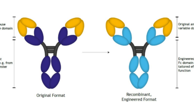 Absolute Antibody VivopureX